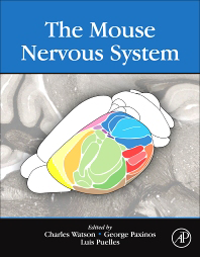 Mouse Nervous System