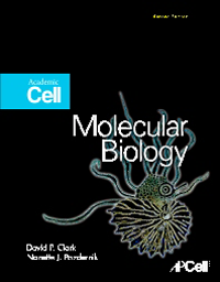 Molecular Biology, 2nd ed.