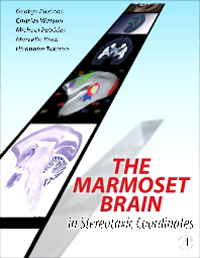Marmoset Brain in Stereotaxic Coordinates, SoftcoverSpiralbound