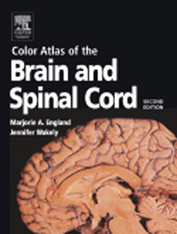 Color Atlas of the Brain & Spinal Cord, 2nd ed.