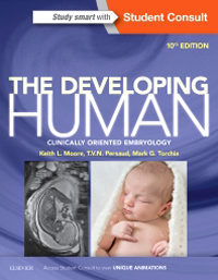 Developing Human, 10th ed.- Clinically Oriented Embryology