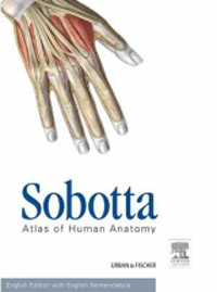 Sobotta, Atlas of Human Anatomy, 15th ed. with OnlineAccess.-Vol.1;General Anatomy & Musculoskeletal System,Vol.2;Internal Organs, Vol.3;Head Neck, & Neuroanatomy,In 3 vols + English Nomenclature