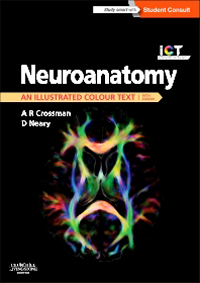 Neuroanatomy, 5th ed.- An Illustrated Colour Text