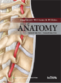 Lippincott Williams & Wilkins Atlas of Anatomy