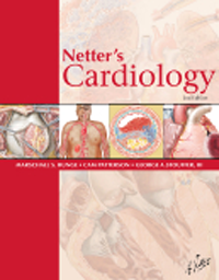Netter's Cardiology, 2nd ed.(Illustrations by Frank H.Netter, MD)