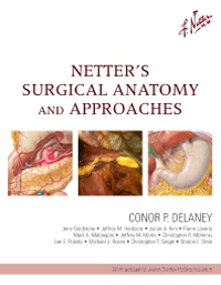 Netter's Surgical Anatomy & Approaches(With Online Access)