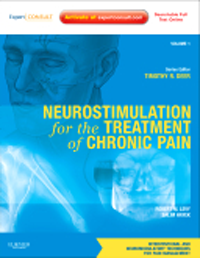 Neurostimulation for the Treatment of Chronic Pain(Interventioal & Neuromodulatory Techniques for PainManagement, Vol.1)