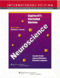 Lippincott's Illustrated Reviews: Neuroscience(Int'l ed.)