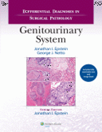Differential Diagnosis in Surgical Pathology:Genitourinary System