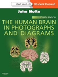 The Human Brain in Photographs & Diagrams, 4th ed.(With Student Consult Online Access)