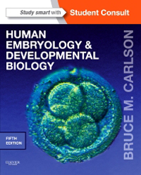 Human Embryology & Developmental Biology, 5th ed.