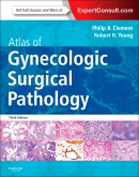 Atlas of Gynecologic Surgical Pathology, 3rd ed.