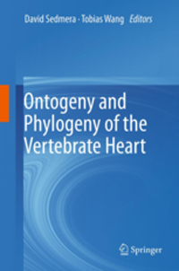 Ontogeny & Phylogeny of the Vertebrate Heart