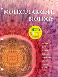 Molecular Cell Biology, 7th ed.(Loose Leaf)