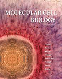 Molecular Cell Biology, 7th ed.(Int'l ed.)