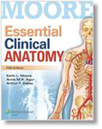 Essential Clinical Anatomy, 5th ed.(Int'l ed.)
