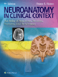Neuroanatomy in Clinical Context, 9th ed.(Int'l ed.)- An Atlas of Structures, Sections, Systems & Syndromes
