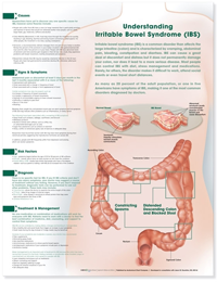 Understanding Irritable Bowel Syndrome Anatomical Chart- Laminated