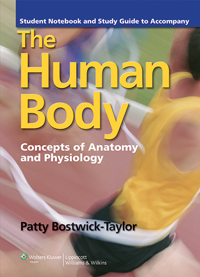 Student Notebook & Study Guide to Accompany the HumanBody, 3rd ed.- Concepts of Anatomy & Physiology