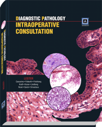 Diagnostic Pathology: Intraoperative Consultation