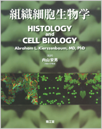 組織細胞生物学