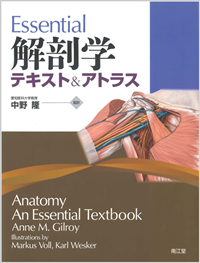 Essential解剖学