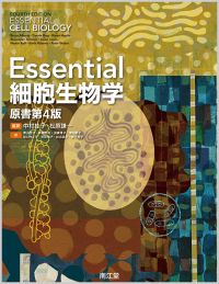 Essential細胞生物学原書第4版