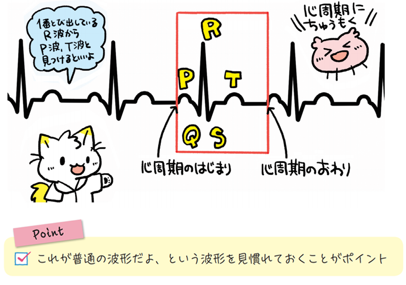 かげさんのイラストで学ぶ 心電図と不整脈めも 南江堂