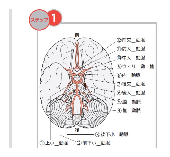 CXg5