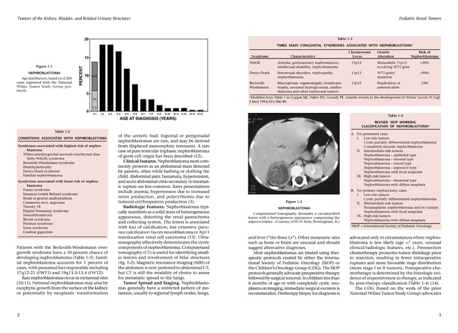 Fascicle 9 腎臓・膀胱・泌尿器関連腫瘍