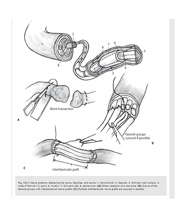 procedures5