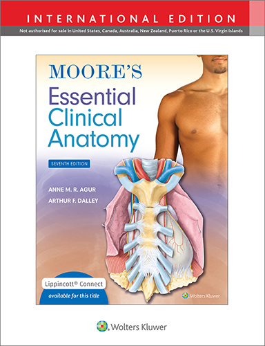 Moore's Essential Clinical Anatomy, 7th ed.(Int'l ed.): 洋書
