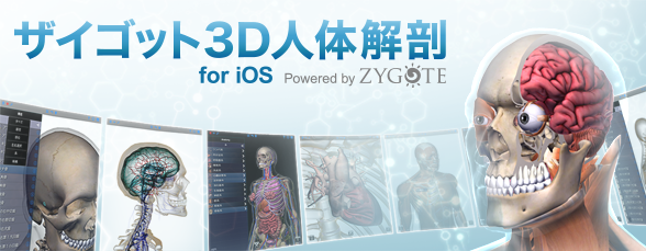 ザイゴット3d人体解剖 For Ios Zygote ザイゴット デジタルコンテンツ 南江堂 ザイゴット3d人体解剖 For Ios Zygote ザイゴット デジタルコンテンツ 南江堂