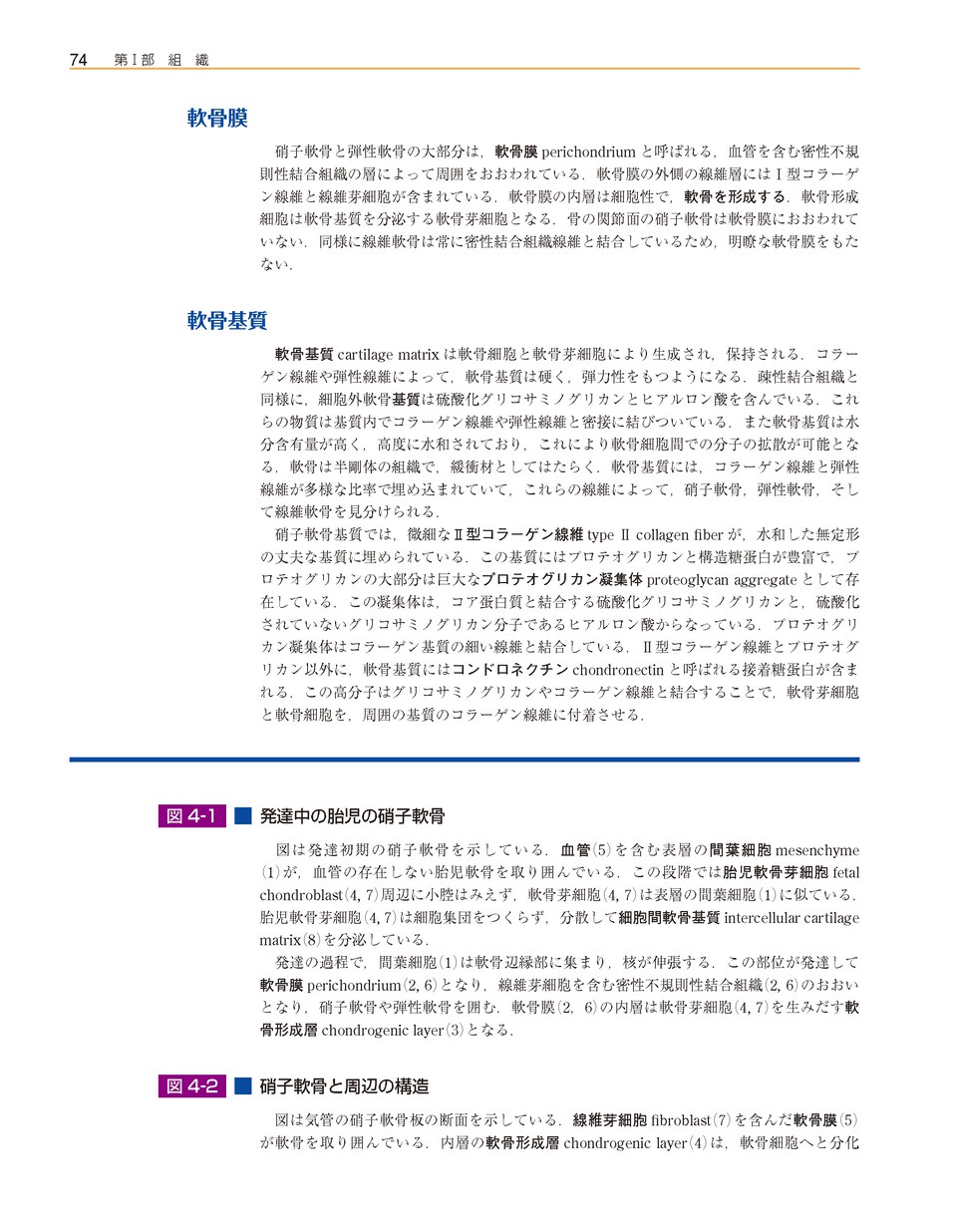 diFiore人体組織図譜(原書第11版) diFiore人体組織図譜(原書第11版)