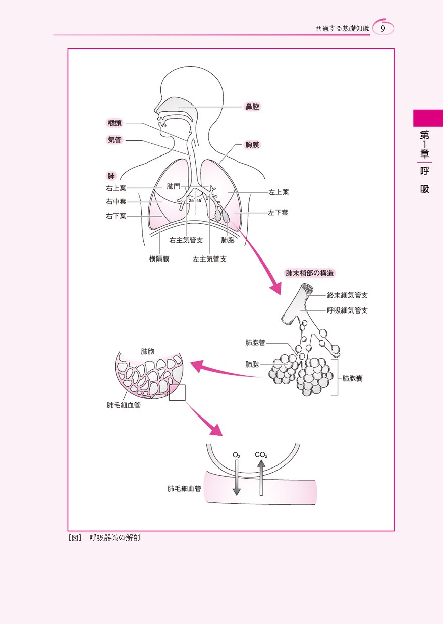 根拠がわかる症状別看護過程（改訂第2版）
