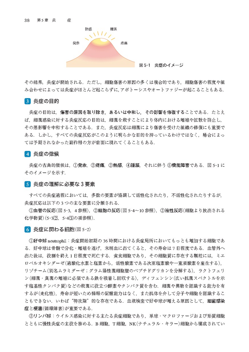 シンプル病理学 シンプル病理学（改訂第7版）: 教科書／南江堂