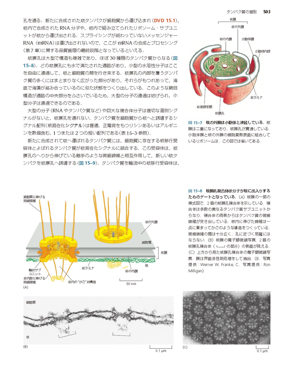 Ｅｓｓｅｎｔｉａｌ細胞生物学 原書第３版