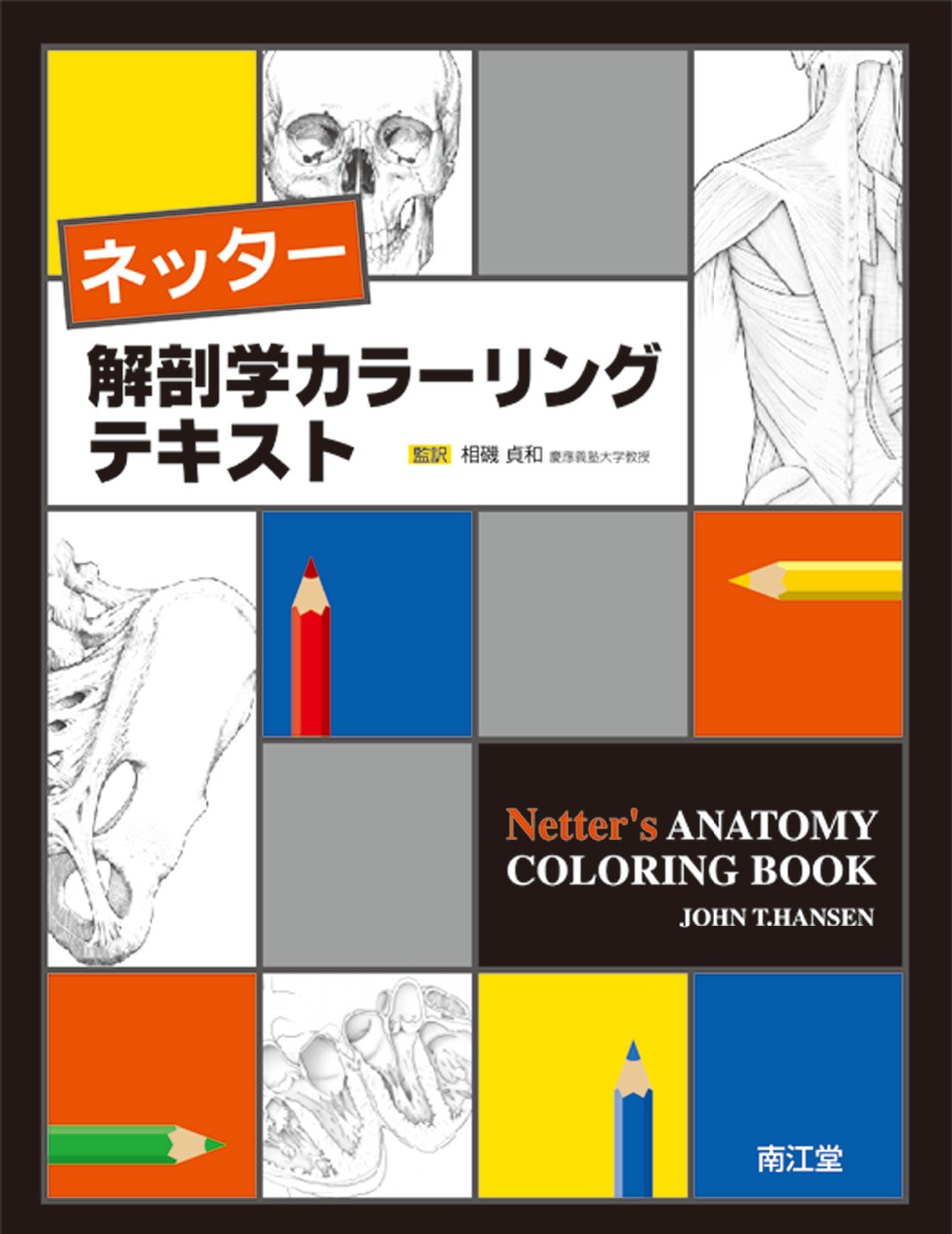 ネッター解剖学カラーリングテキスト