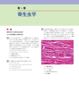 海外限定スパイク販売 cover2.jpg 自然科学と技術