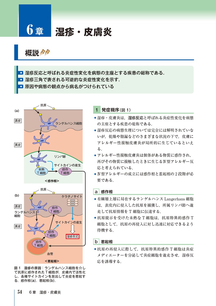 シンプル皮膚科学