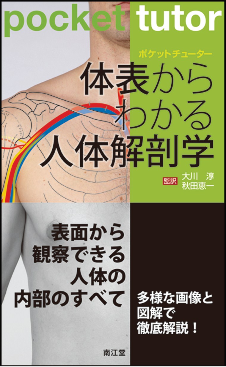 Amazon.com: 療法士のための体表解剖学: 9784882829645: unknown