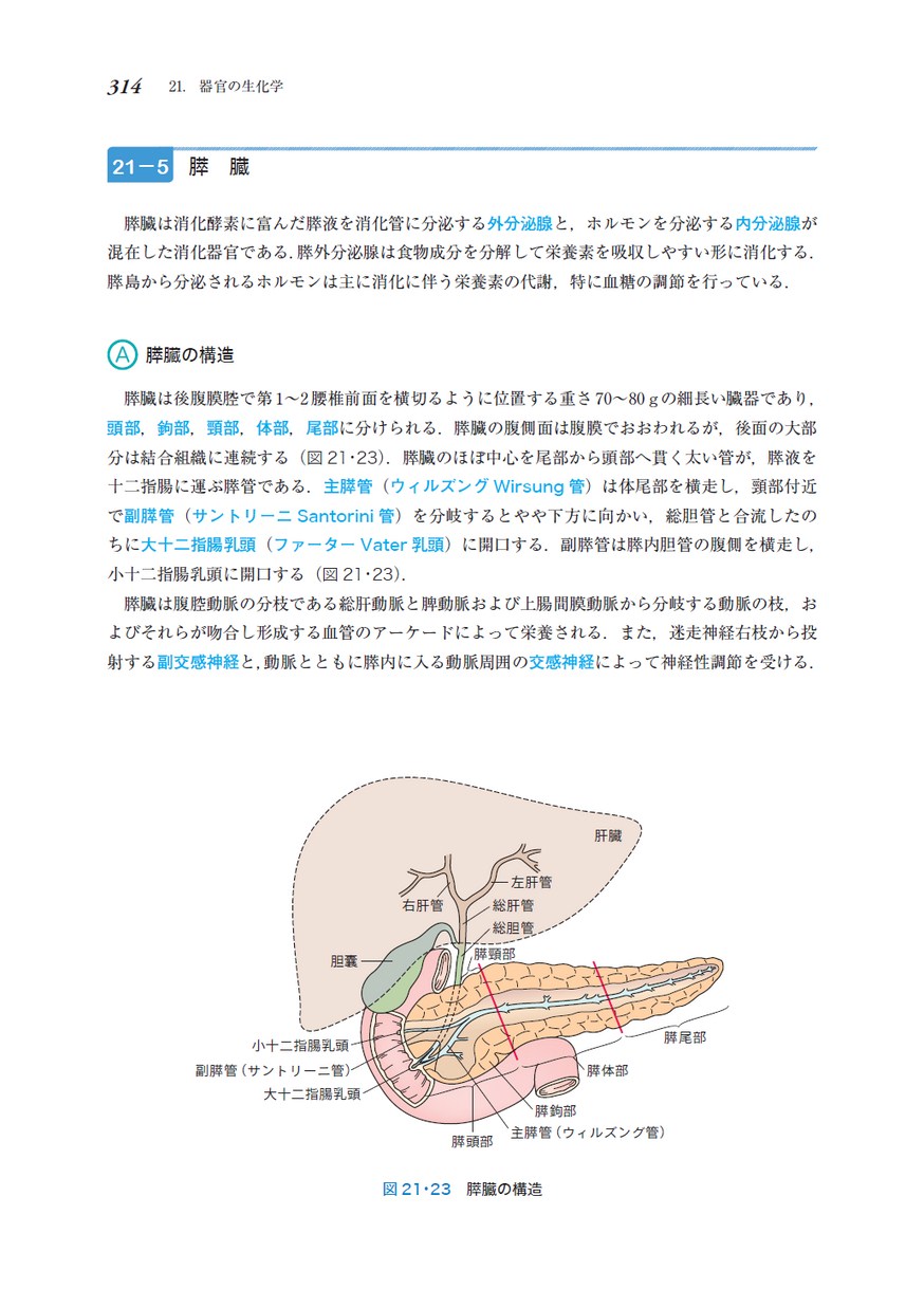 シンプル生化学（改訂第7版）: 教科書／南江堂