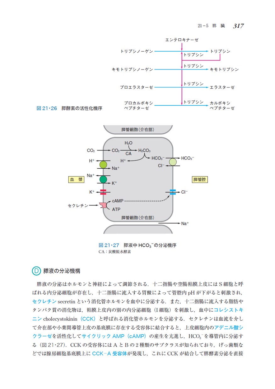 シンプル生化学（改訂第6版）