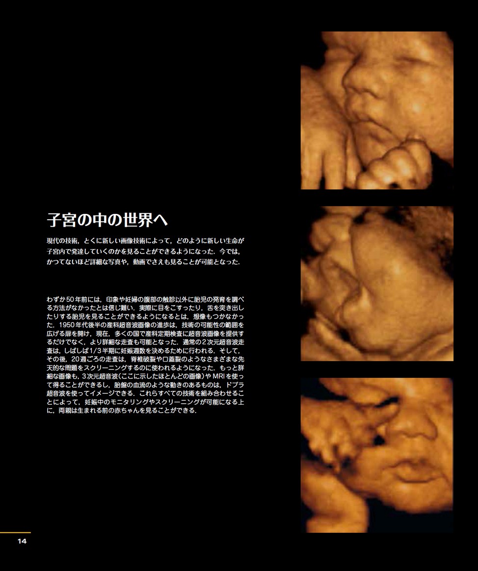 みえる生命誕生 みえる生命誕生