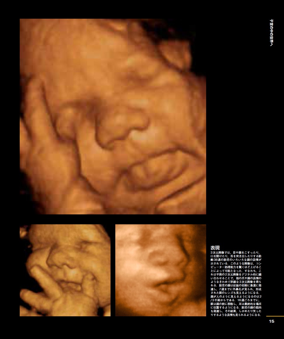 みえる生命誕生