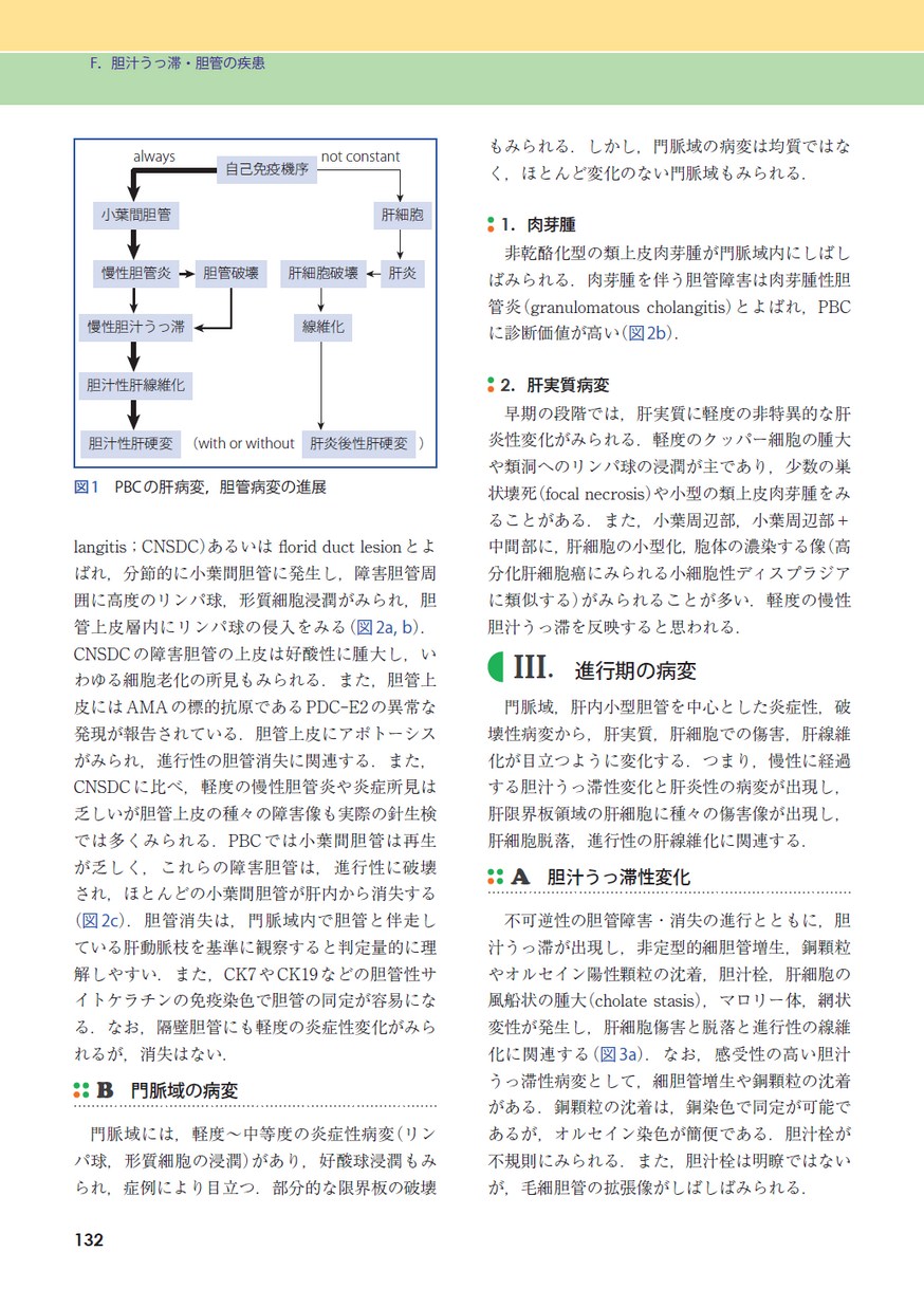 中沼安二（単行本）　南江堂　胆道疾患を診る医師のための胆道病理テキスト　価格比較