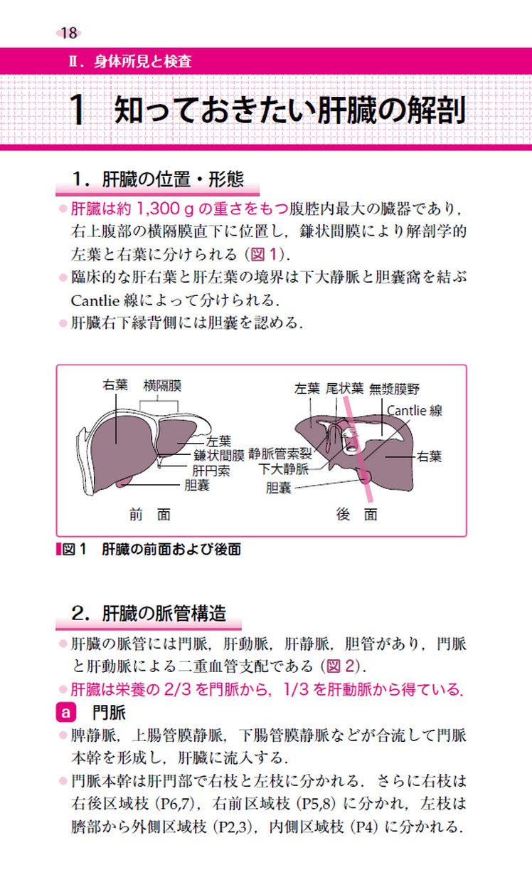 【高品質】 肝臓病診療ゴールデンハンドブック 検査キット