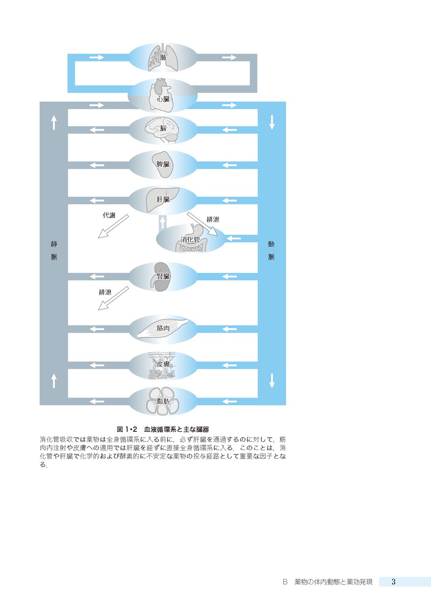 コンパス生物薬剤学