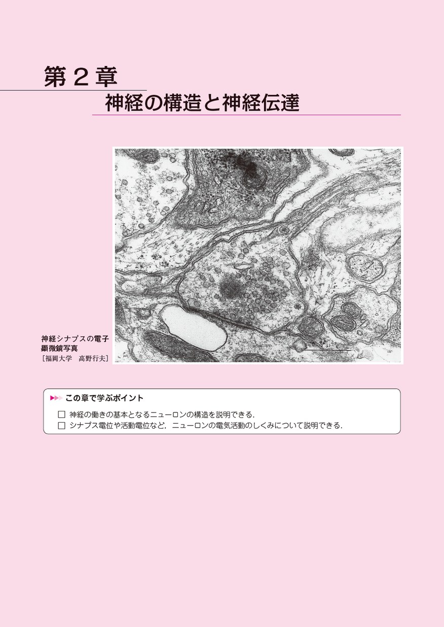 パートナー機能形態学(改訂第2版)