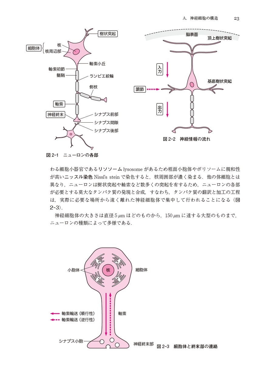 パートナー機能形態学（改訂第2版）